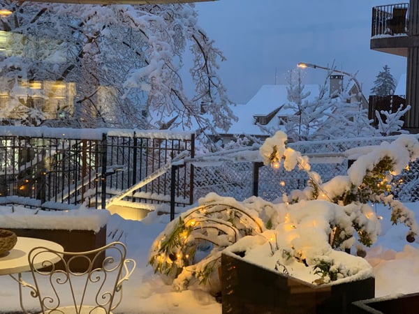 Exklusive Gartenwohnung im