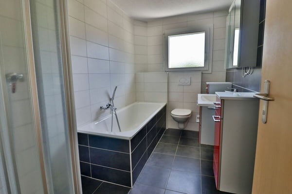 Appartement 3.5 pces avec terrasse XXL 9