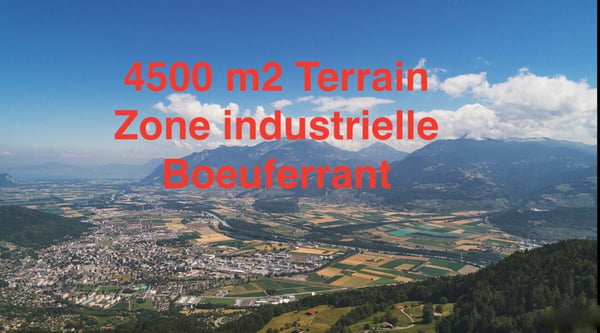 Monthey - Boeuferrant - Terrain artisanal-industriel de 4500 m2 1