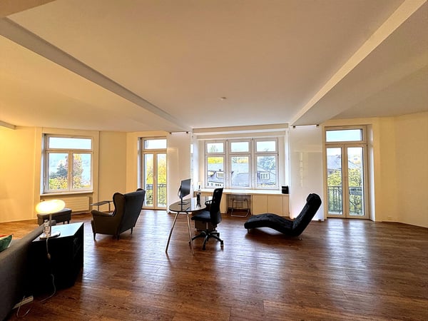Weiträumige, helle 1.5 - Zimmerloft mit Blick auf See und Zürihornpark (Zürich Seefeld) 4