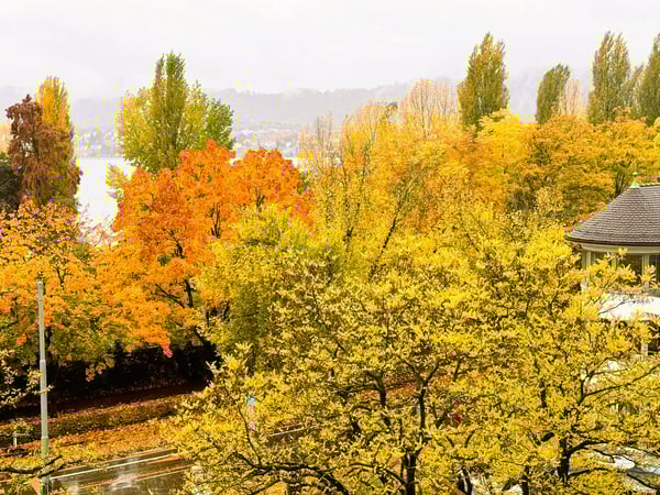 Weiträumige, helle 1.5 - Zimmerloft mit Blick auf See und Zürihornpark (Zürich Seefeld) 10