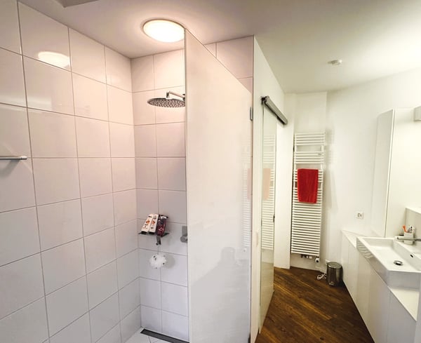 Weiträumige, helle 1.5 - Zimmerloft mit Blick auf See und Zürihornpark (Zürich Seefeld) 15