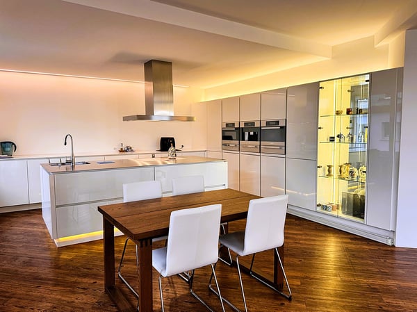 Weiträumige, helle 1.5 - Zimmerloft mit Blick auf See und Zürihornpark (Zürich Seefeld) 12