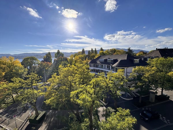 Weiträumige, helle 1.5 - Zimmerloft mit Blick auf See und Zürihornpark (Zürich Seefeld) 5