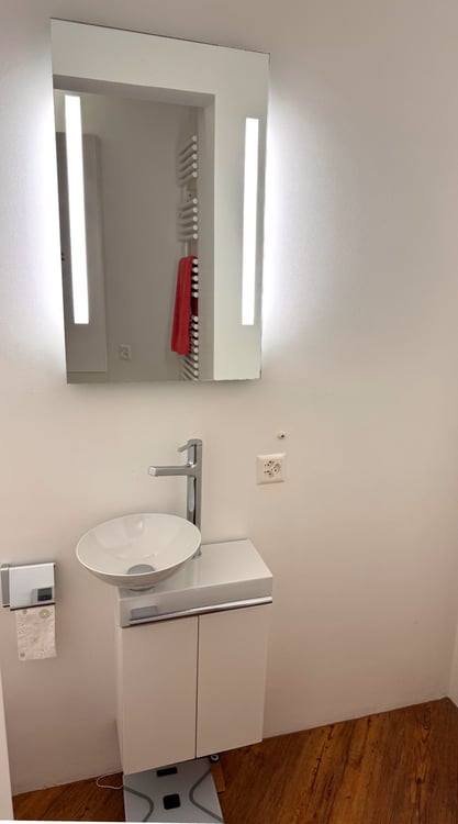 Weiträumige, helle 1.5 - Zimmerloft mit Blick auf See und Zürihornpark (Zürich Seefeld) 16