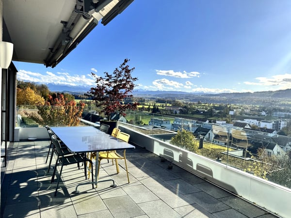 Möblierte 1.5-Zimmer-Wohnung mit  loftartigem Wohnbereich und rundum Aussicht in Uster 7