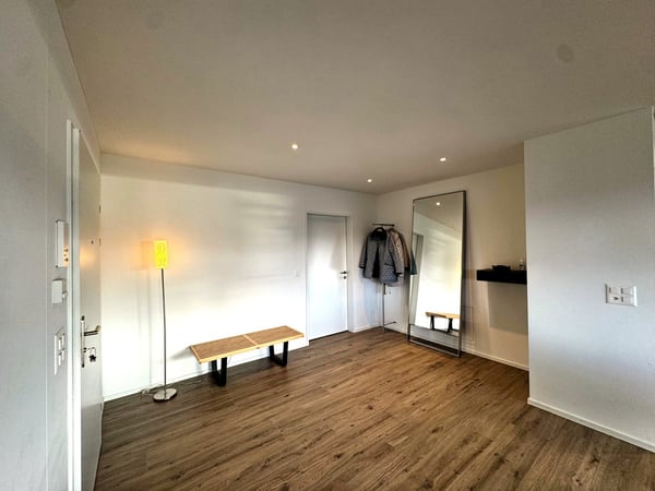 Möblierte 1.5-Zimmer-Wohnung mit  loftartigem Wohnbereich und rundum Aussicht in Uster 2