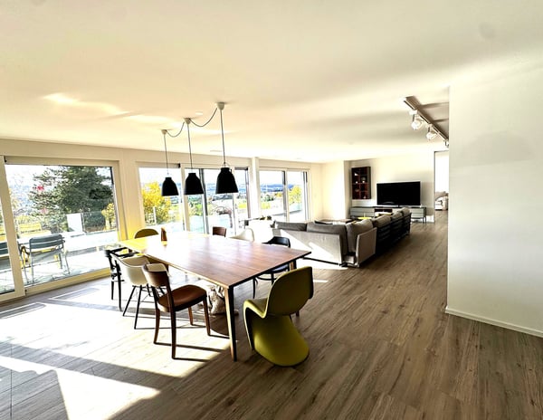 Möblierte 1.5-Zimmer-Wohnung mit  loftartigem Wohnbereich und rundum Aussicht in Uster 4