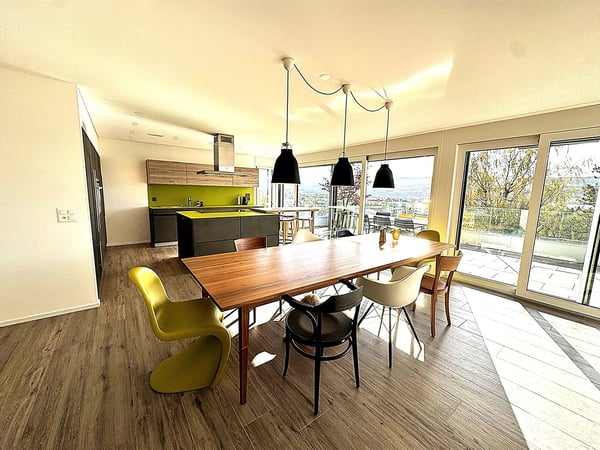 Möblierte 1.5-Zimmer-Wohnung mit  loftartigem Wohnbereich und rundum Aussicht in Uster 5