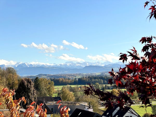 Möblierte 1.5-Zimmer-Wohnung mit  loftartigem Wohnbereich und rundum Aussicht in Uster 17