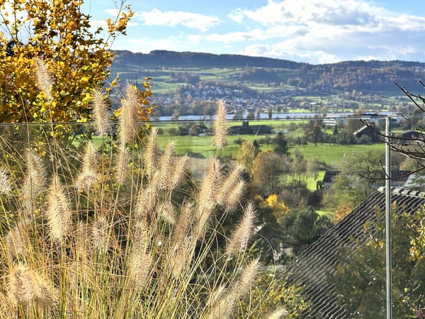 Möblierte 1.5-Zimmer-Wohnung mit  loftartigem Wohnbereich und rundum Aussicht in Uster 16