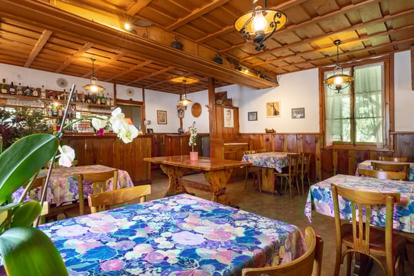 Restaurant individuel avec habitation aux Plans-sur-Bex 3