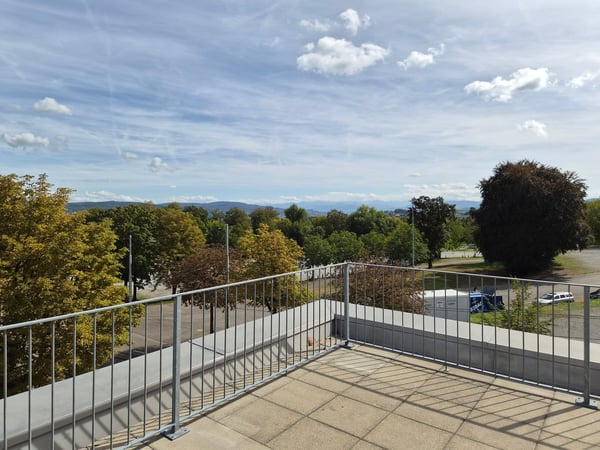 Traumhafte 3,5-Zi. Wohnung mit Dachterrasse, Zürich-Wiedikon 19