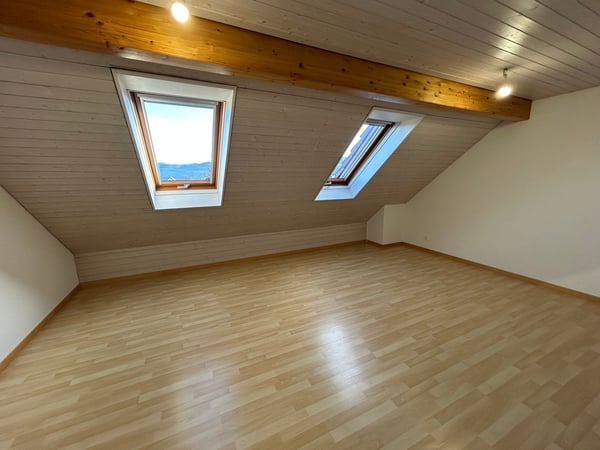 Helle und grosszügige Dachwohnung in ruhigem Wohnquartier 8