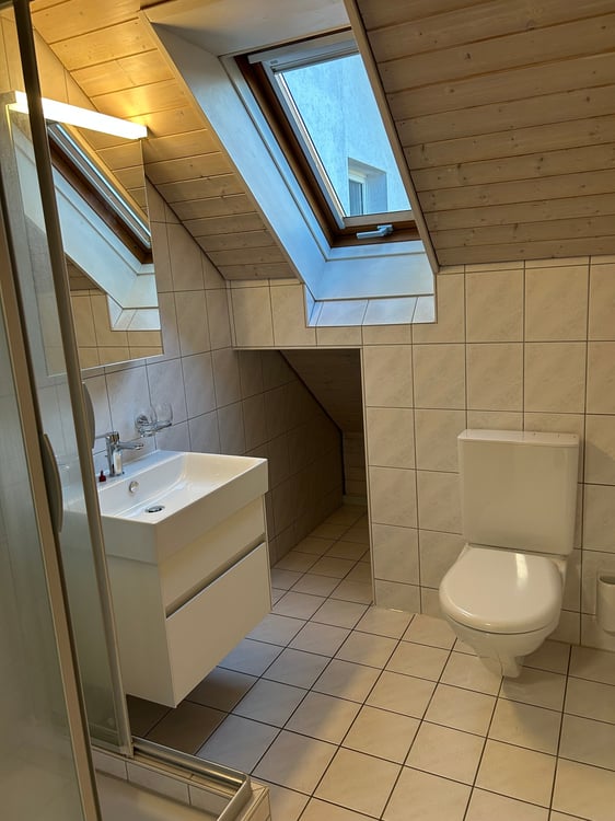 Helle und grosszügige Dachwohnung in ruhigem Wohnquartier 11