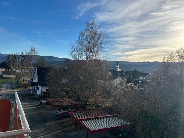 Helle und grosszügige Dachwohnung in ruhigem Wohnquartier 1