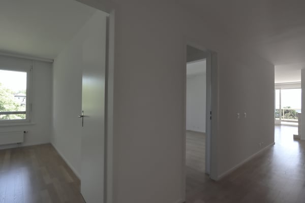 4.5 PIÈCES ENTIÈREMENT RÉNOVÉ, GRANDE TERRASSE, VUE SUR LE LAC 8