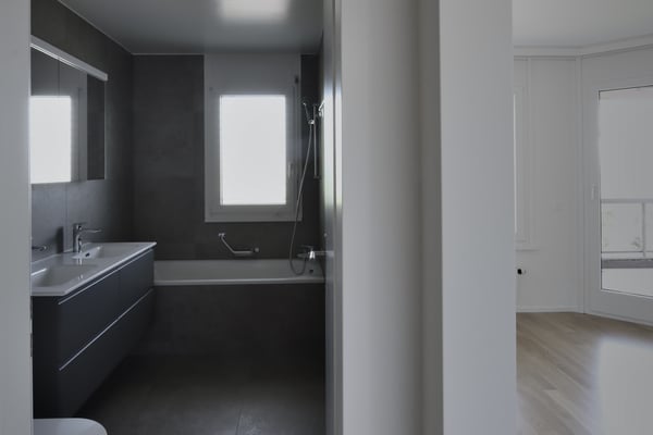 4.5 PIÈCES ENTIÈREMENT RÉNOVÉ, GRANDE TERRASSE, VUE SUR LE LAC 10