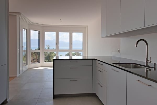 4.5 PIÈCES ENTIÈREMENT RÉNOVÉ, GRANDE TERRASSE, VUE SUR LE LAC 4