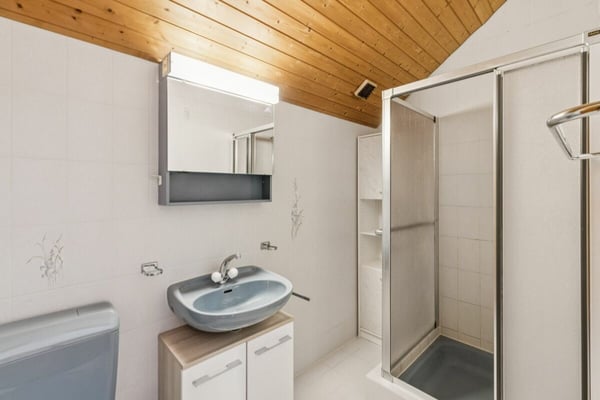 Grosszügig wohnen im Herzen von Hagendorn 22