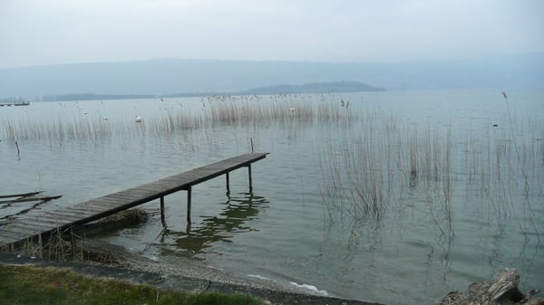 Lüscherz