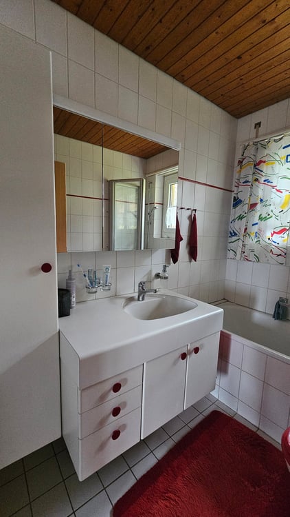 Einfamilienhaus mit 2 Wohnungen und wunderbarer Weitsicht in die Berge 12