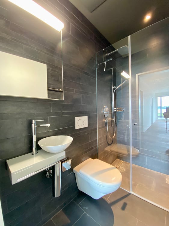 Moderne 1.5-Zimmer-Terrassenwohnungen mit Seeblick in Pfäffikon SZ 3