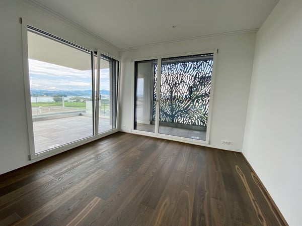 Moderne 1.5-Zimmer-Terrassenwohnungen mit Seeblick in Pfäffikon SZ 2