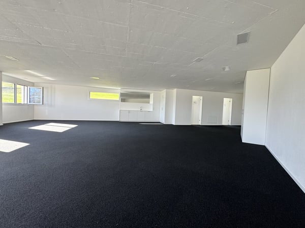 Raum für Erfolg – 125 m² Businessfläche in Pfäffikon SZ 5