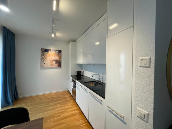 Appartamento 3.5 locali in affitto in centro Lugano 12