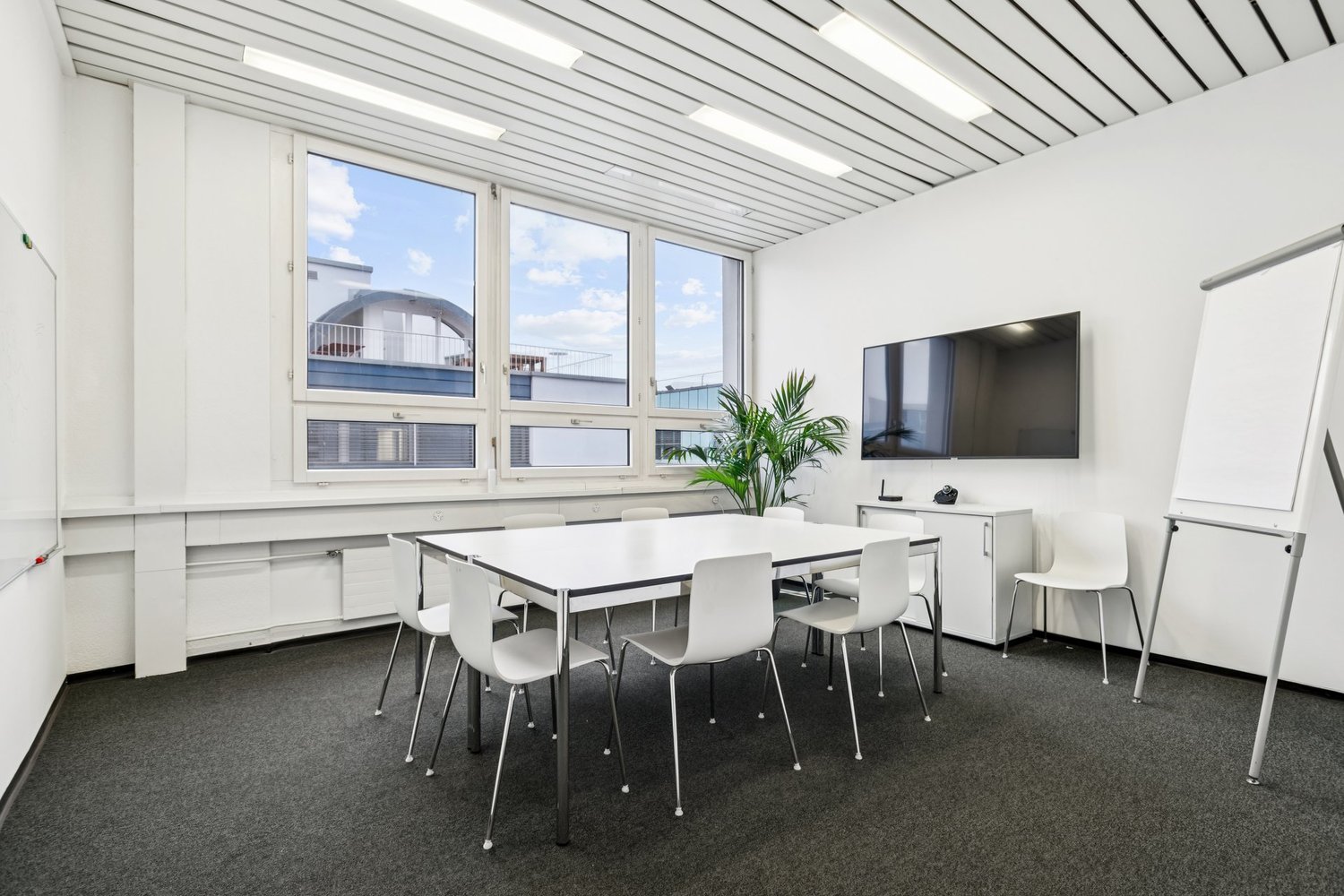 modern office room, white walls, large windows, white table, white chairs, whiteboard, TV, plant