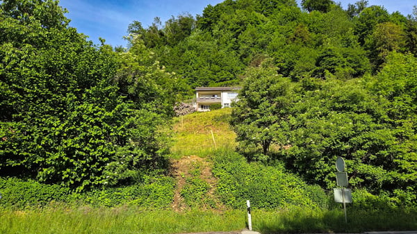 Bauland mit unverbaubarer Weitsicht in Rümlingen (2'024 m²) 2