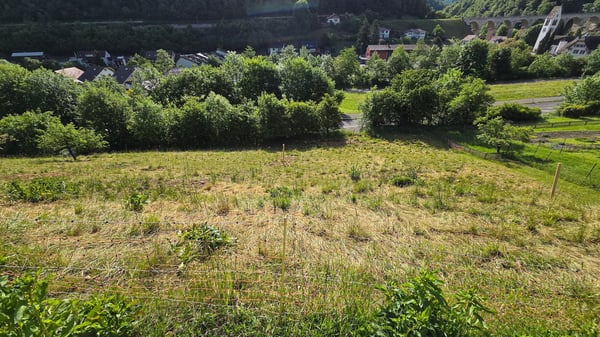 Bauland mit unverbaubarer Weitsicht in Rümlingen (2'024 m²) 9