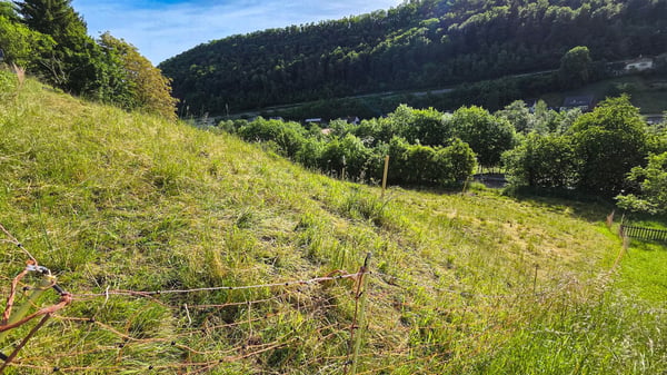 Bauland mit unverbaubarer Weitsicht in Rümlingen (2'024 m²) 7