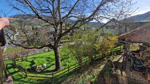 880 m² Bauland WG2 mit Aussicht in Bennwil kaufen 3