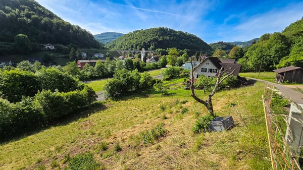 Bauland mit unverbaubarer Weitsicht in Rümlingen (2'024 m²) 8