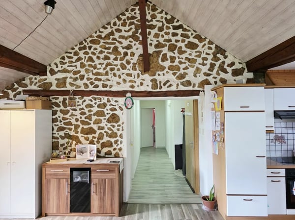 Bel immeuble mixte composé d'un café & restaurant, d'un Dancing, de 3 appartements et d'un bureau. 23