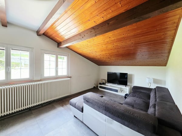 Immeuble mixte de rendement - jusqu'à 14.7%  brut avec exploitation du dancing. 16