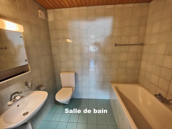 Appartement de 3.5 pièces à vendre à Broc 6