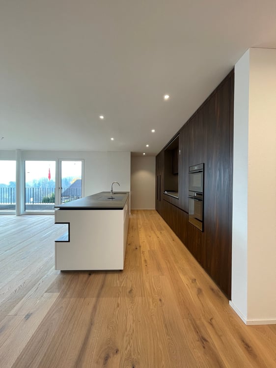 Neubau Attikawohnung mit Blick auf Pilatus und Rigi 5