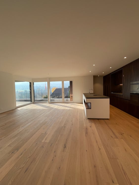 Neubau Attikawohnung mit Blick auf Pilatus und Rigi 4