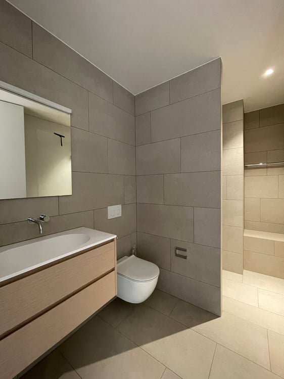 Neubau Attikawohnung mit Blick auf Pilatus und Rigi 8