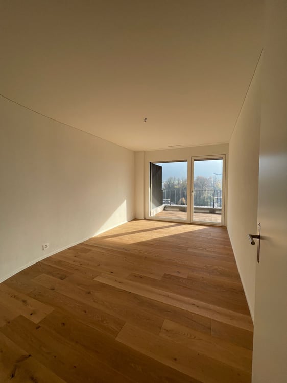 Neubau Attikawohnung mit Blick auf Pilatus und Rigi 13