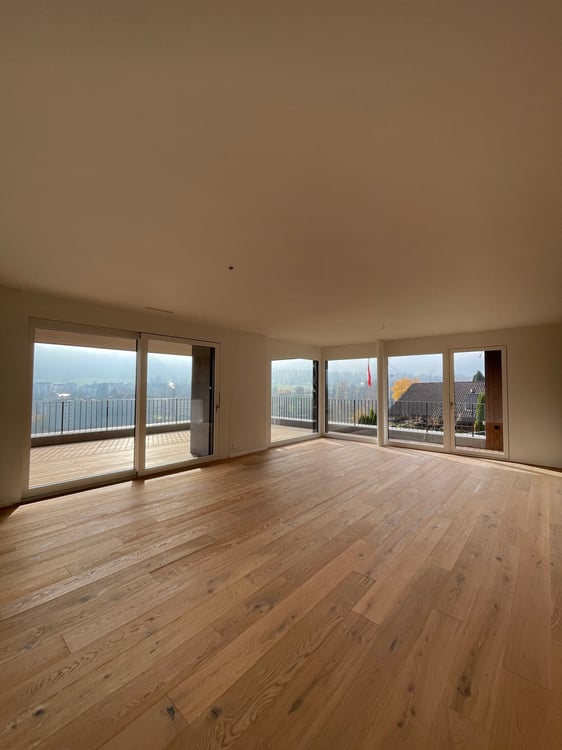 Neubau Attikawohnung mit Blick auf Pilatus und Rigi 6