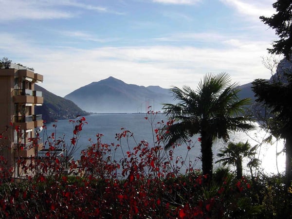 Vorschaubild der Immobilie