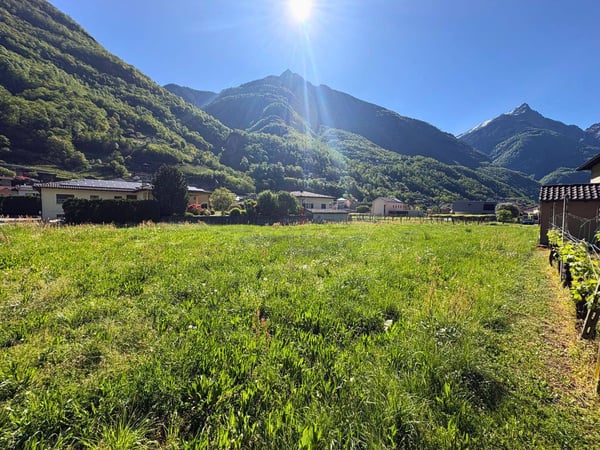 NELLA VALLE DEL SOLE, OPPORTUNITÃ PER INVESTIRE 5