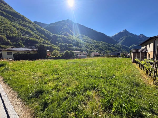 NELLA VALLE DEL SOLE, OPPORTUNITÃ PER INVESTIRE 1