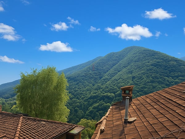 VIVERE IMMERSI NELLA NATURA 1