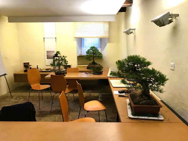 UN PROGETTO UNICO A DUE PASSI DAL LAGO 12