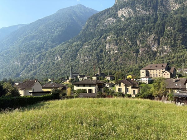 EDIFICA IN ZONA RESIDENZIALE SOLEGGIATA IMMERSA NEL VERDE 2